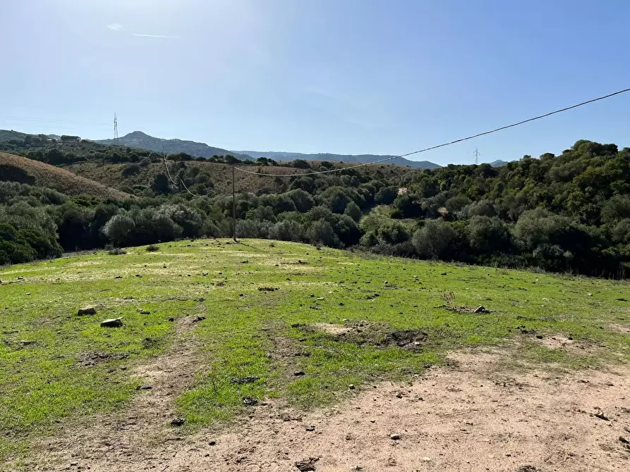 Immagine 25 di Casa colonica in vendita  a Aglientu