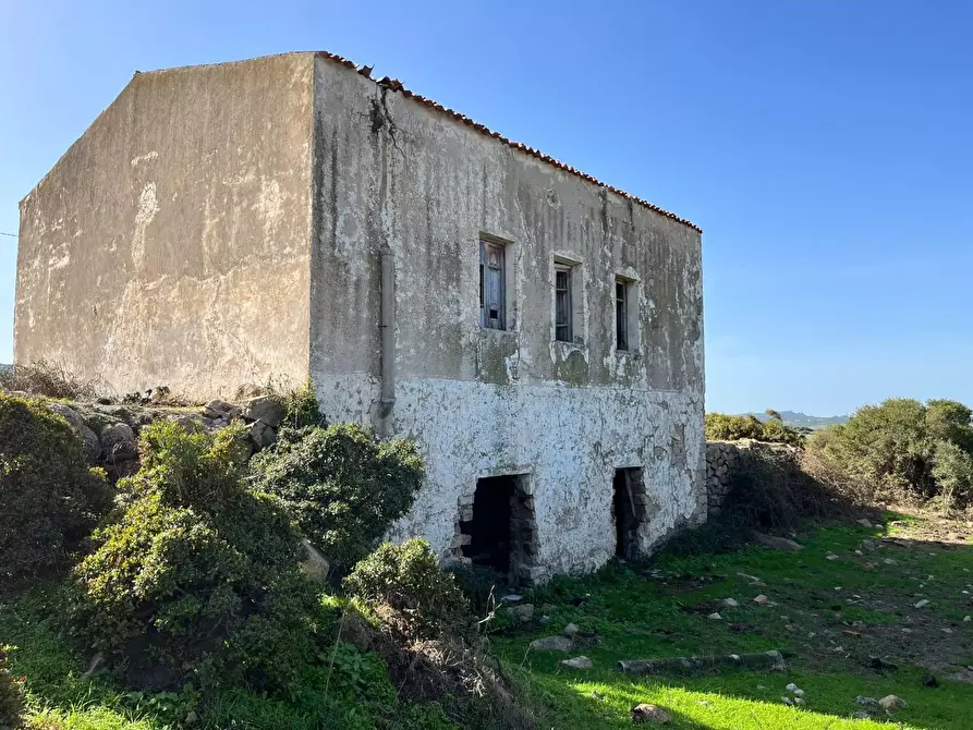 Immagine 12 di Casa colonica in vendita  a Aglientu