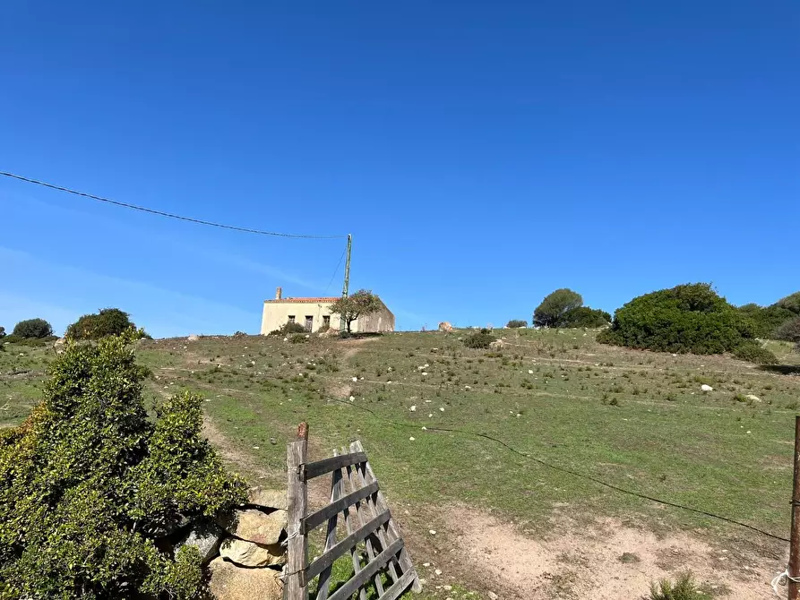 Immagine 27 di Casa colonica in vendita  a Aglientu