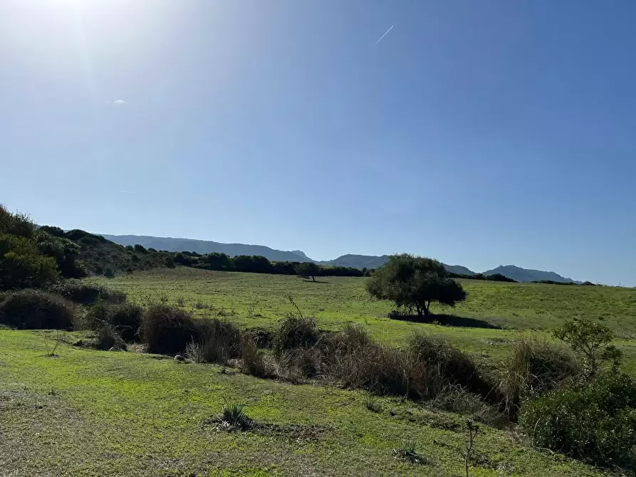Immagine 3 di Casa colonica in vendita  a Aglientu