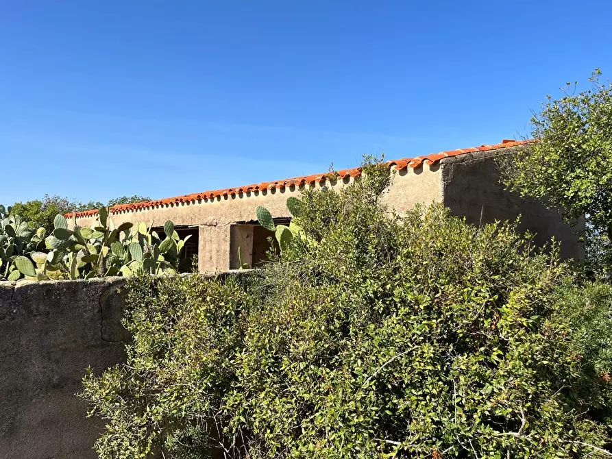 Immagine 20 di Casa colonica in vendita  a Aglientu