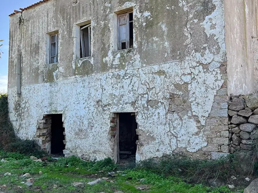 Immagine 13 di Casa colonica in vendita  a Aglientu