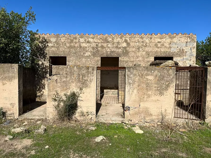 Immagine 18 di Casa colonica in vendita  a Aglientu