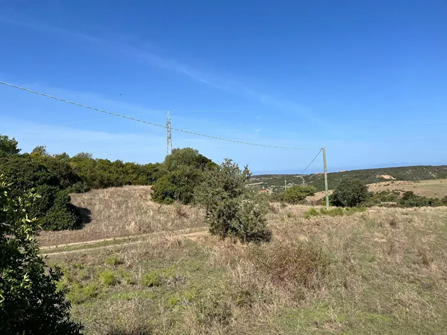 Immagine 38 di Casa colonica in vendita  a Aglientu