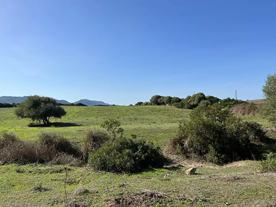 Immagine 5 di Casa colonica in vendita  a Aglientu