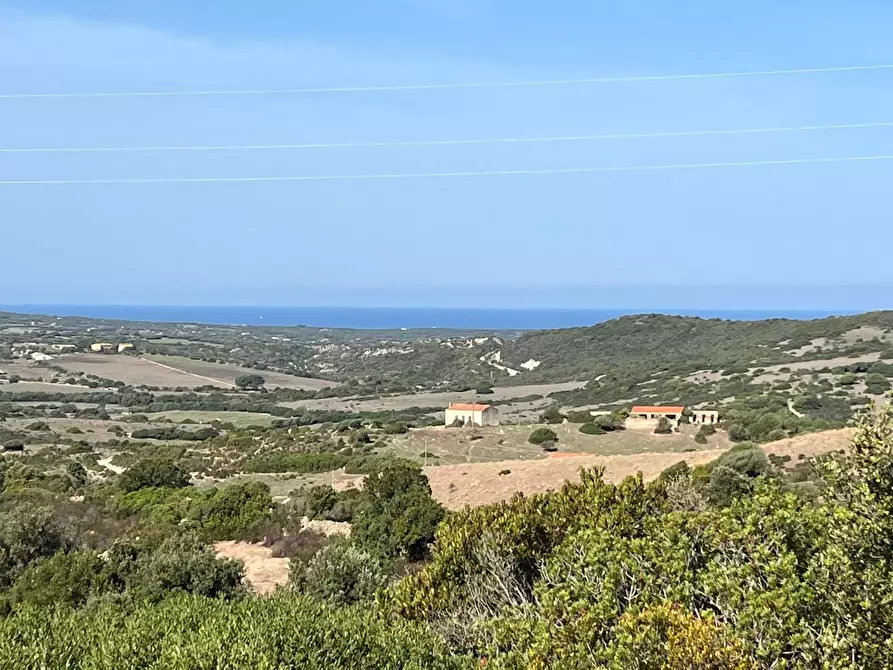 Immagine 41 di Casa colonica in vendita  a Aglientu