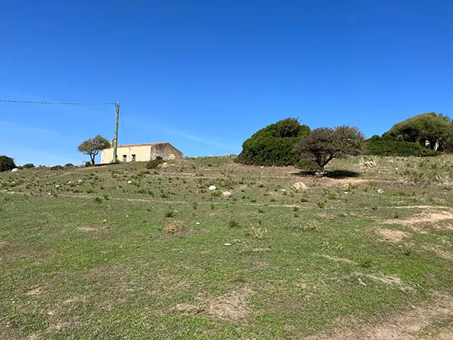 Immagine 23 di Casa colonica in vendita  a Aglientu