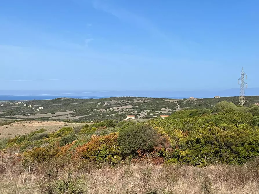 Immagine 37 di Casa colonica in vendita  a Aglientu
