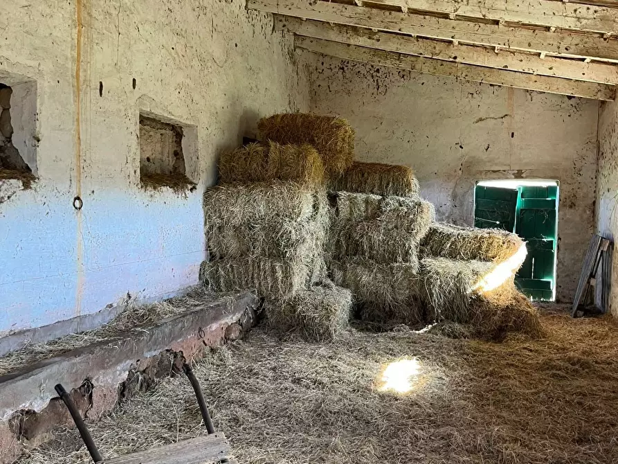 Immagine 24 di Casa colonica in vendita  a Aglientu