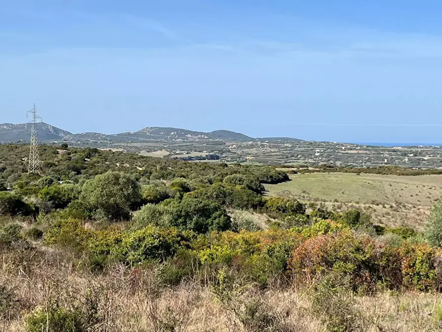 Immagine 34 di Casa colonica in vendita  a Aglientu