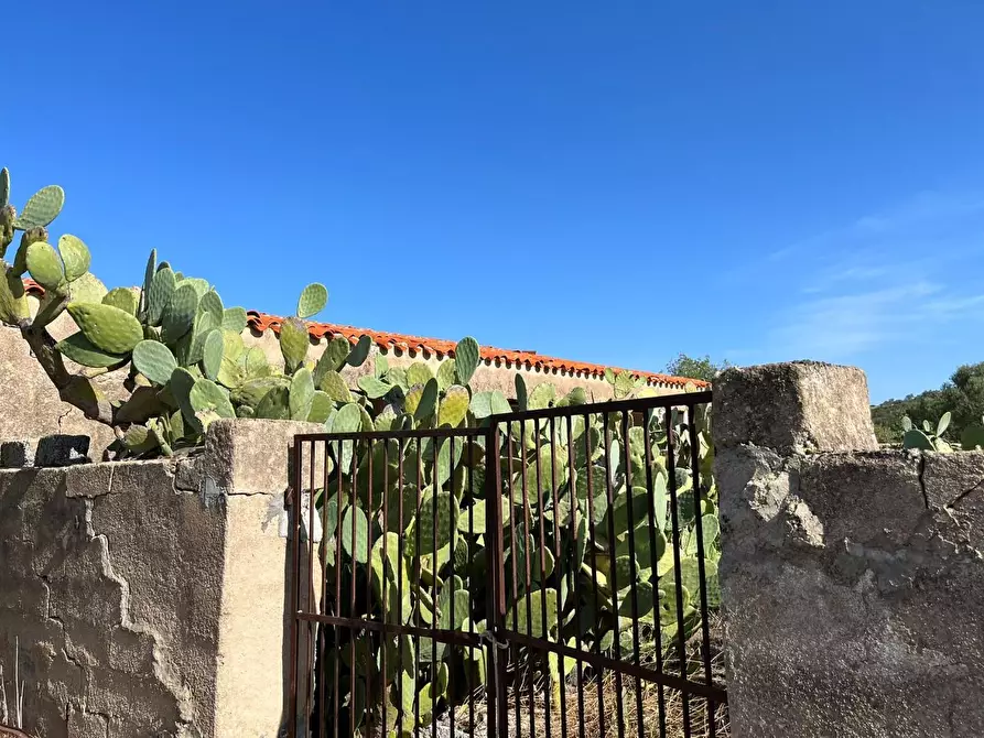 Immagine 17 di Casa colonica in vendita  a Aglientu