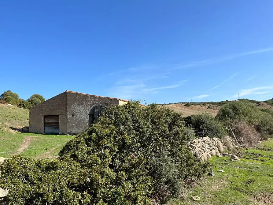 Immagine 30 di Casa colonica in vendita  a Aglientu