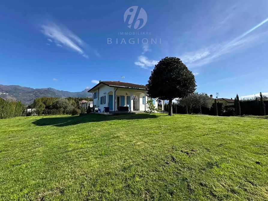 Immagine 4 di Villa in vendita  a Pietrasanta