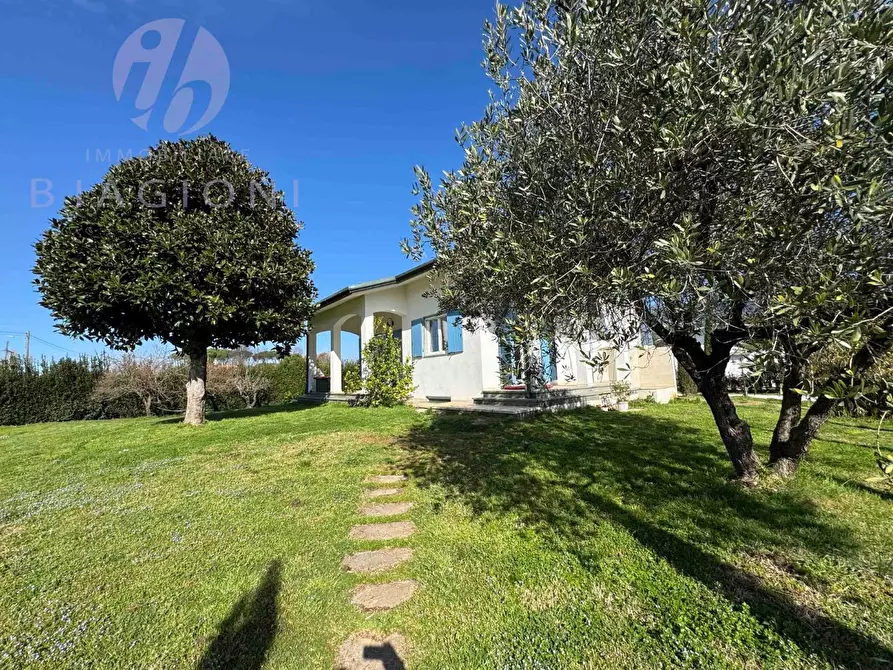 Immagine 7 di Villa in vendita  a Pietrasanta