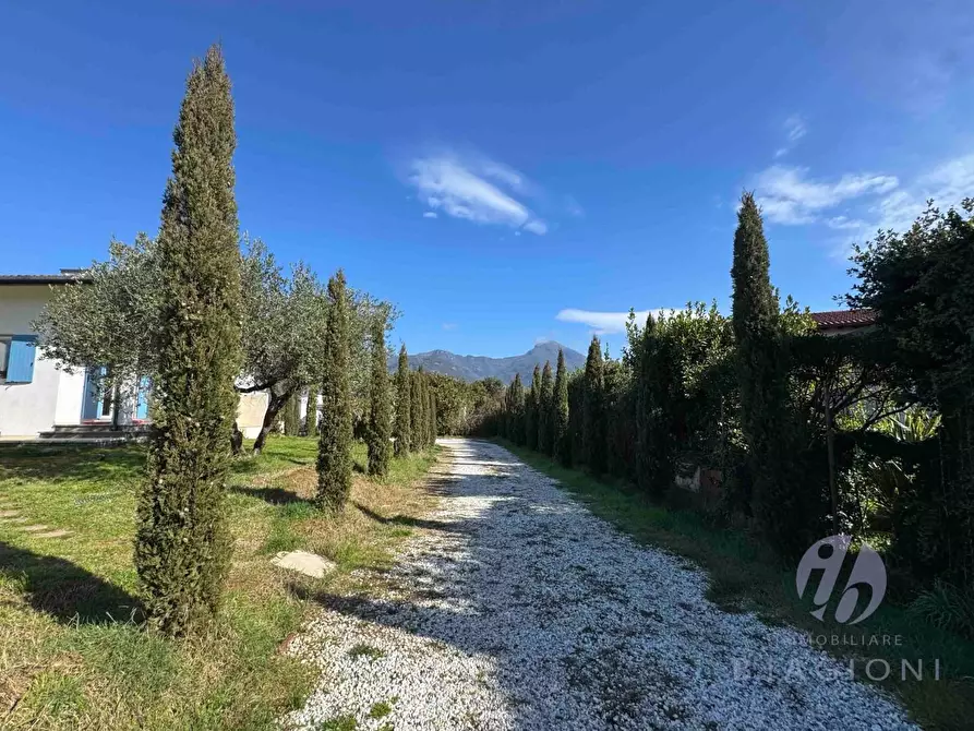Immagine 6 di Villa in vendita  a Pietrasanta