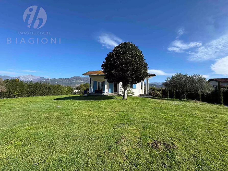 Immagine 5 di Villa in vendita  a Pietrasanta