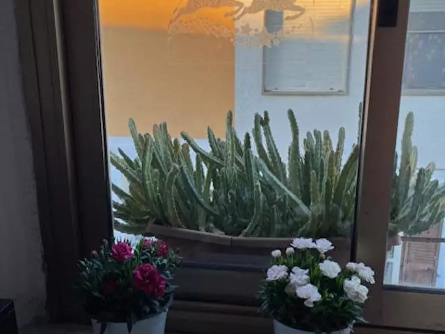 Immagine 18 di Casa bifamiliare in vendita  a Pontedera