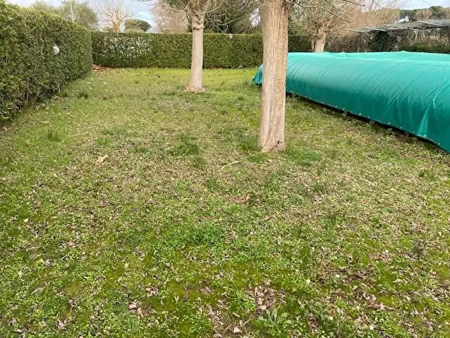 Immagine 12 di Appartamento in vendita  a Viareggio