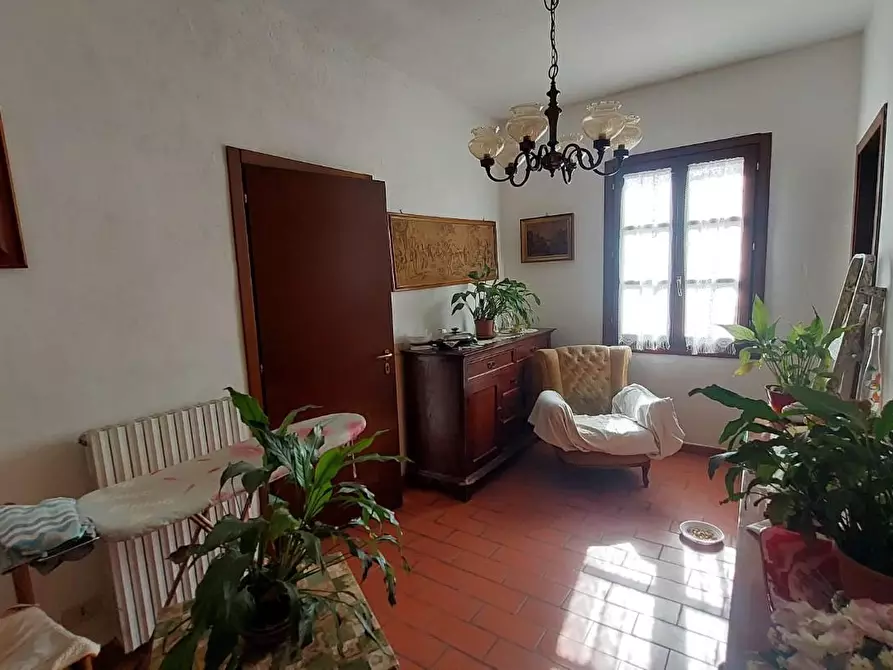 Immagine 13 di Casa indipendente in vendita  a Buti