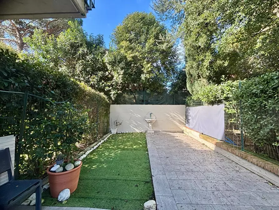 Immagine 7 di Appartamento in vendita  a Terricciola