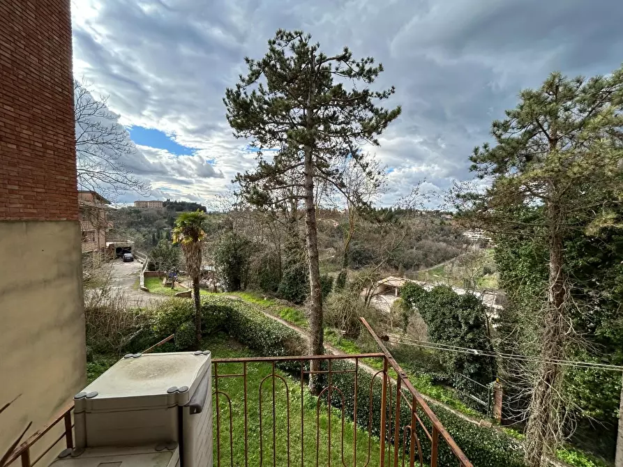 Immagine 8 di Appartamento in vendita  a Siena