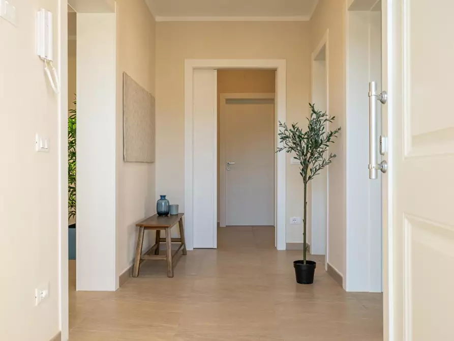 Immagine 4 di Appartamento in vendita  a Bientina