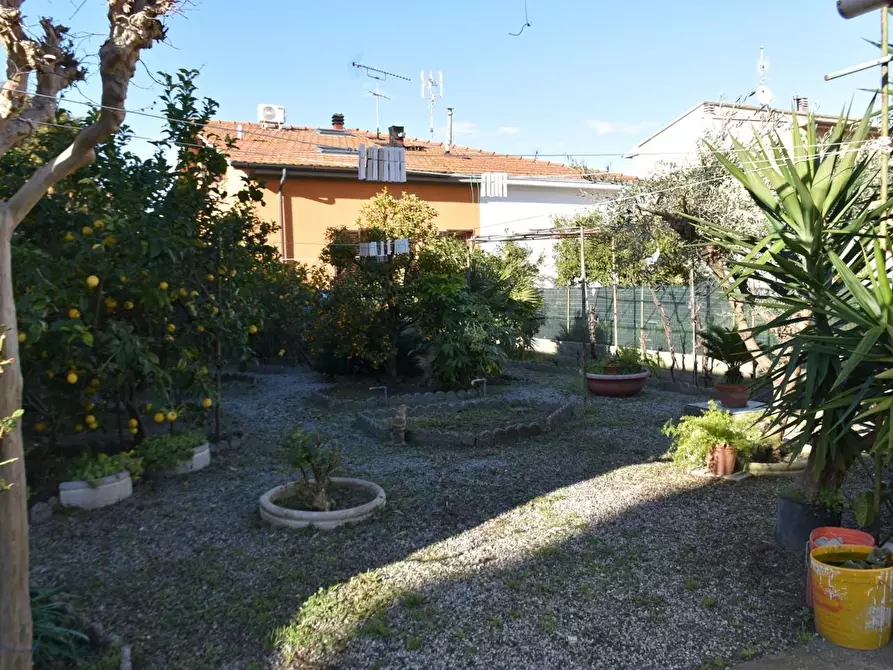 Immagine 8 di Villa in vendita  a Rosignano Marittimo