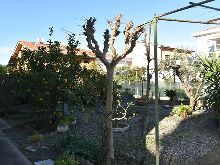 Immagine 9 di Villa in vendita  a Rosignano Marittimo