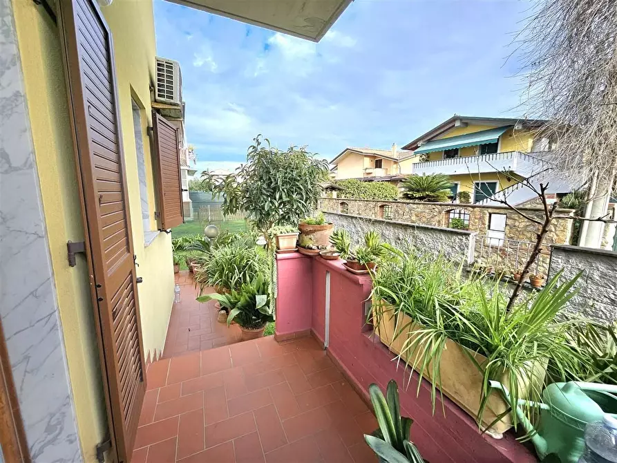 Immagine 5 di Casa trifamiliare in vendita  a Massa