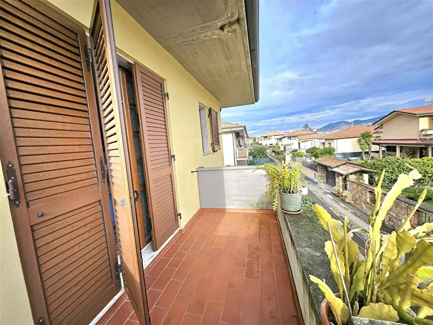 Immagine 18 di Casa trifamiliare in vendita  a Massa