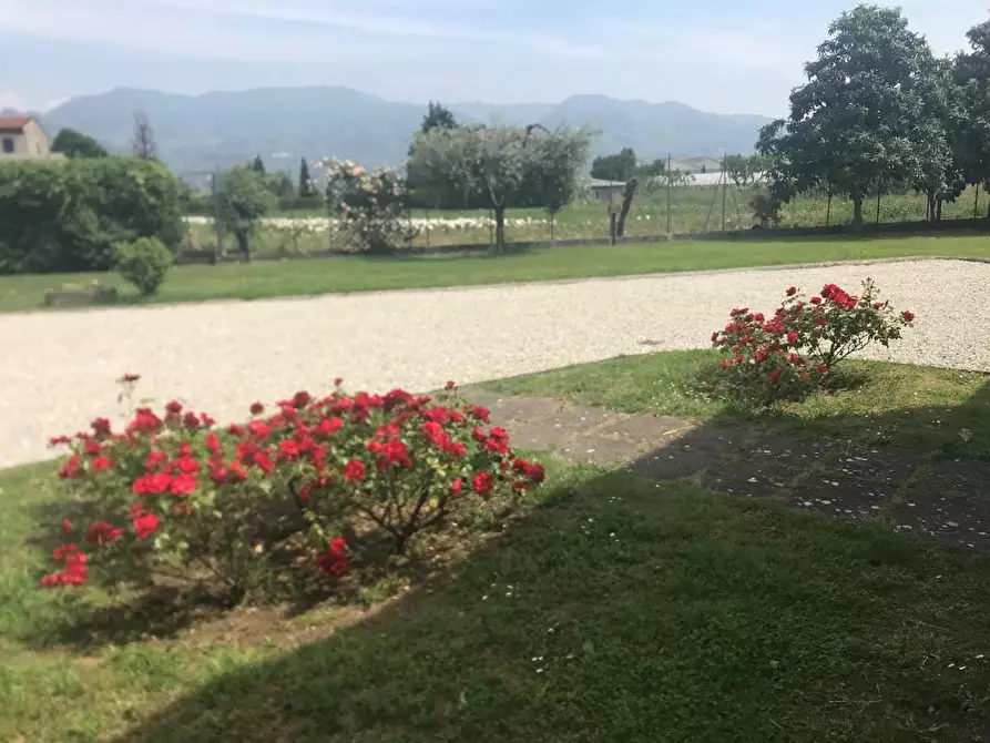 Immagine 5 di Rustico / casale in vendita  a Lucca