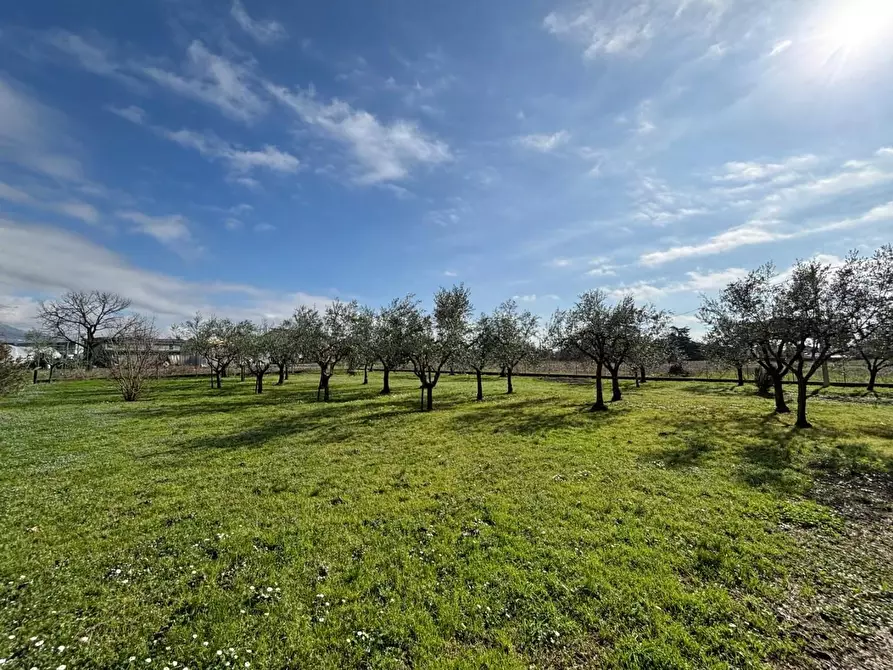 Immagine 7 di Rustico / casale in vendita  a Lucca