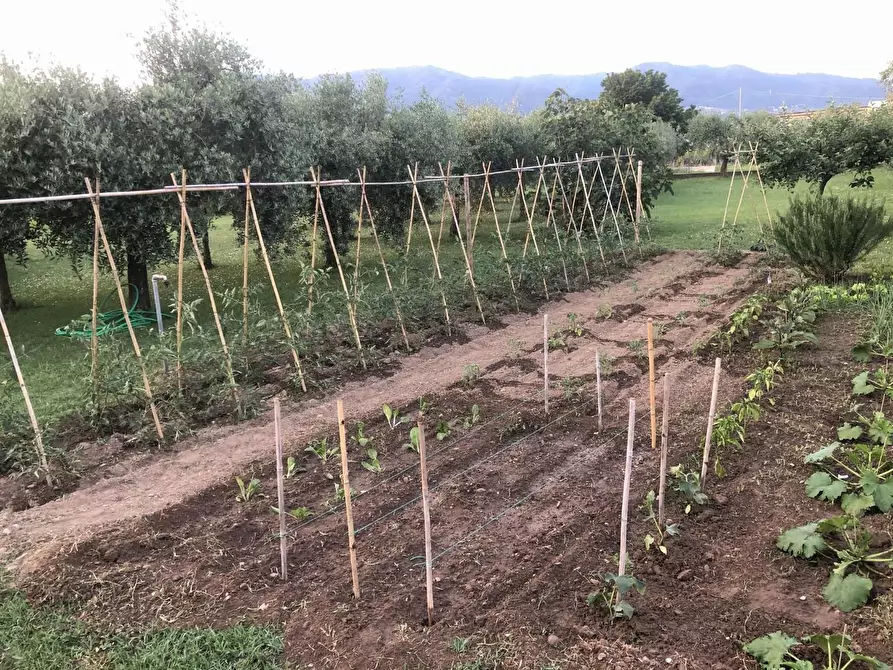 Immagine 8 di Rustico / casale in vendita  a Lucca