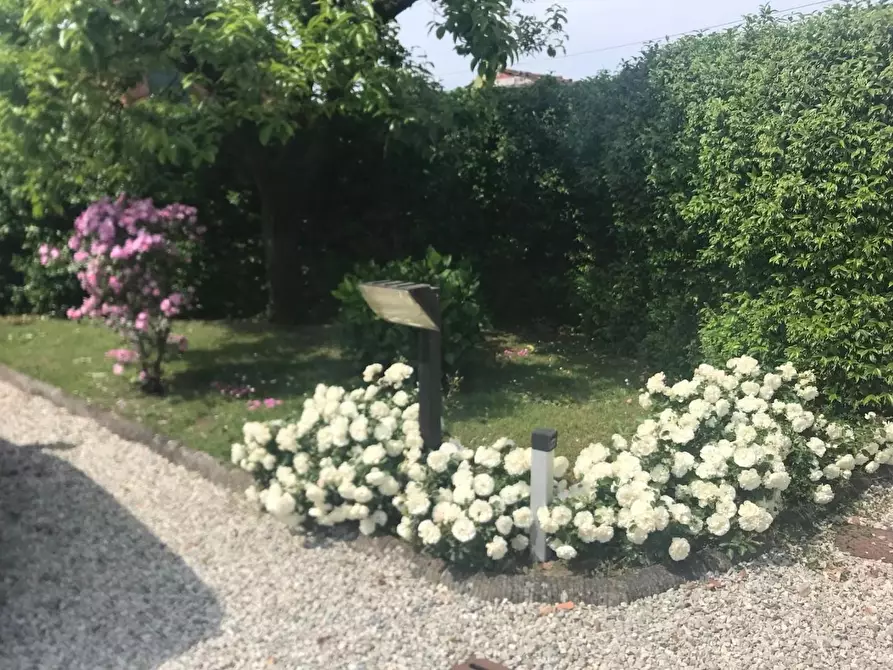 Immagine 6 di Rustico / casale in vendita  a Lucca