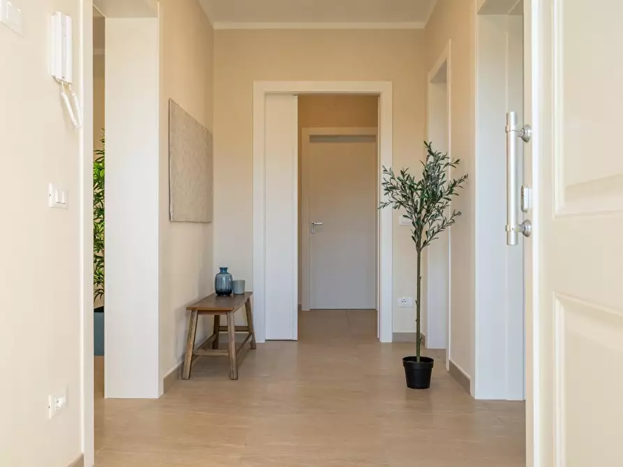 Immagine 5 di Appartamento in vendita  a Bientina