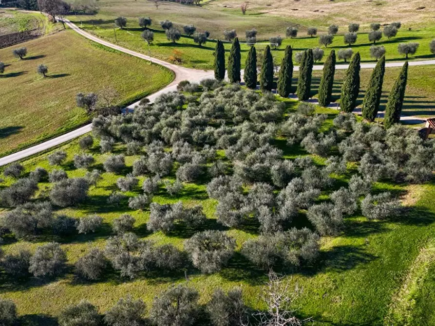 Immagine 2 di Villa in vendita  a Scarperia E San Piero