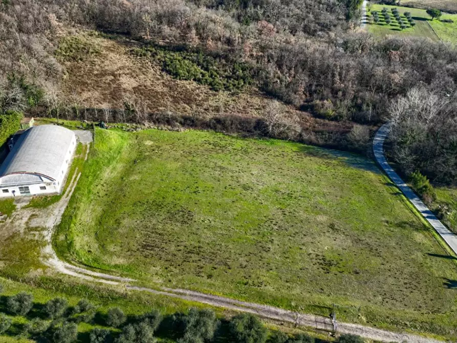 Immagine 8 di Villa in vendita  a Scarperia E San Piero