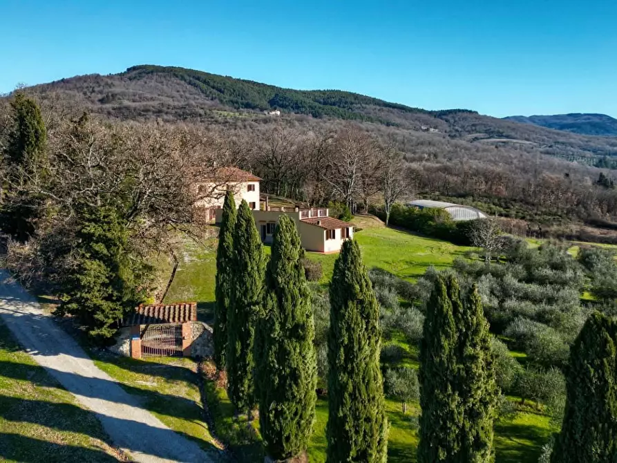 Immagine 14 di Villa in vendita  a Scarperia E San Piero