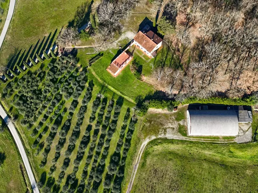 Immagine 2 di Villa in vendita  a Scarperia E San Piero
