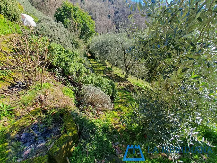 Immagine 19 di Casa indipendente in vendita  a Larciano