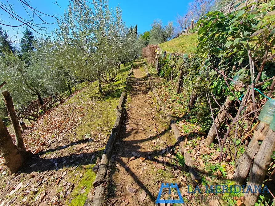 Immagine 41 di Casa indipendente in vendita  a Larciano