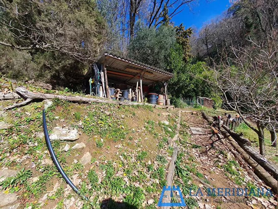 Immagine 45 di Casa indipendente in vendita  a Larciano
