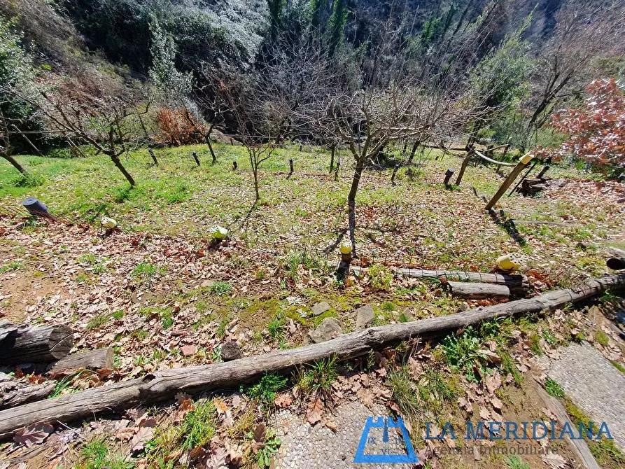 Immagine 39 di Casa indipendente in vendita  a Larciano