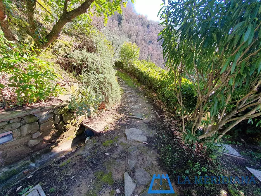 Immagine 36 di Casa indipendente in vendita  a Larciano