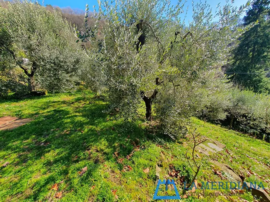 Immagine 40 di Casa indipendente in vendita  a Larciano