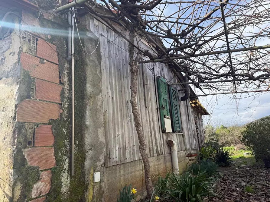 Immagine 24 di Terratetto in vendita  a Sarzana