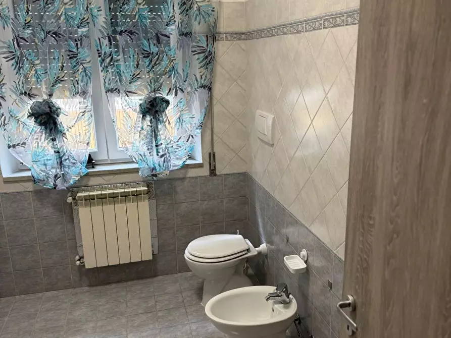 Immagine 5 di Appartamento in affitto  a Grosseto