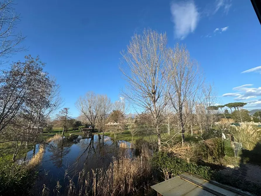 Immagine 14 di Appartamento in vendita  a Viareggio