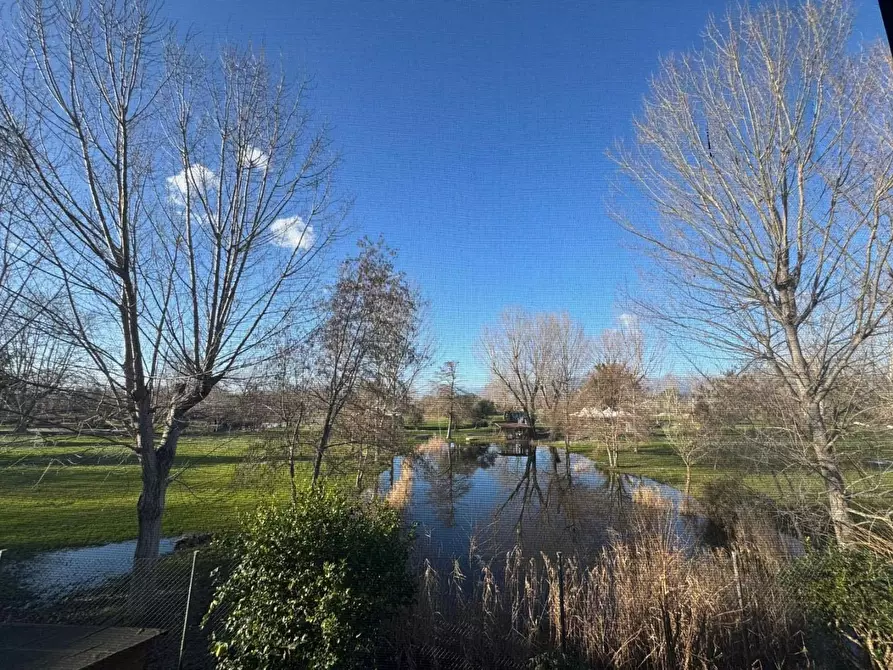 Immagine 9 di Appartamento in vendita  a Viareggio