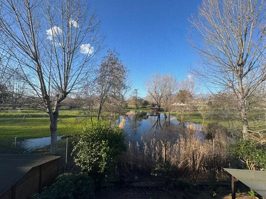 Immagine 21 di Appartamento in vendita  a Viareggio